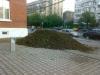  Pamant negru de padure