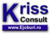  Au Pair Baby sitter in Paris,  Rennes,  Dinard