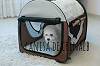Pui bichon frise Pui bichon frise