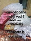 Cumpăr pene vechi din dune perine Cumpăr pene vechi din dune perine