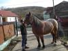  Vand 2 Iepe