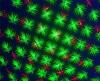  LASER VERDE Tel0771673157