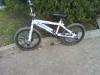  bmx  x treme si adulti dame si barbati si copi