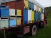  CAMION APICOL SAVIEM CACAPICATE 48 DE STUPI OMOLOGAT APICOL