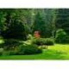  VAND PAMANT PENTRU GRADINA. 0726.040.941.