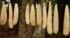  Seminte de luffa productie proprie