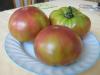  SEMINTE RARE TOMATE NEGRE