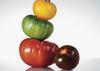 SEMINTE  TOMATE 40 soiuri