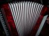  Ofer spre vinzare acordeon profesionale ROSINI