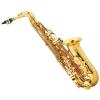  REPARATII SAXOFON,  CLARINET TARAGOT