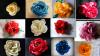  Accesorii dama - brose cu flori handmade