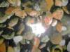  V�nd folie pvc de cea mai buna calitate