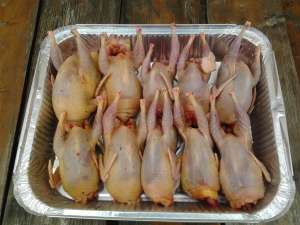 oua si carne de prepelita