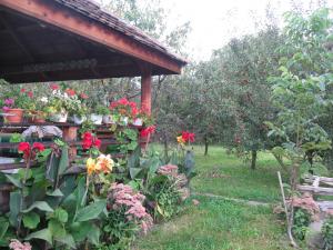 vand casa