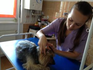 Toaletaj canin si felin
