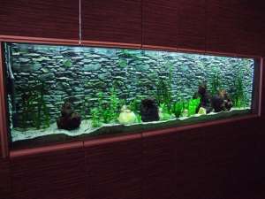 oferte acvarii de decor restaurante,  hoteluri