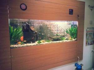 oferte acvarii de decor restaurante,  hoteluri