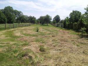 Teren intravilan com.Recea Fagaras,   jud Brasov �6/mp - negociabil