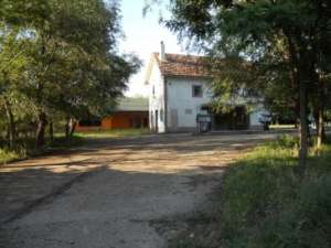 Inchiriez Casa+Cladire comerciala+Statie Peco in Timis(1000mp)