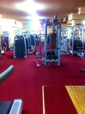 VAND CROSSTRAINER PROFESIONAL LIFE FITNESS Xi95 SILVER LINE