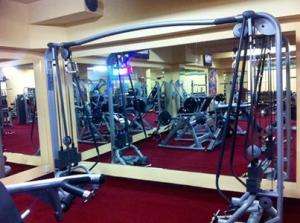 VAND STEPPER PROFESIONAL LIFE FITNESS 95 Si SILVER LINE