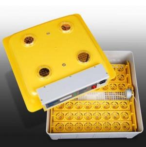 Cumpar incubator Flly Automatic 2014 NOW 48 oua CHINA sau 96 oua