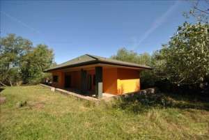 Vand Casa+Cladire Comerciala+Statie Peco in Carpinis,  jud.Timis-1000mp