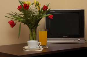 CAZARE HOTEL CASA SOFIA 3* FLOREASCA