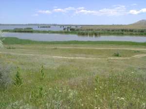 Teren intravilan Enisala lac