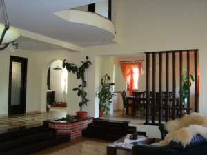 Vila la marginea padurii