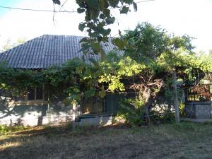 Casa taraneasca cu teren,  3339 mp - 35000 euro