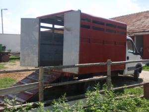 IVECO Daily 2.8 D Transport Animale