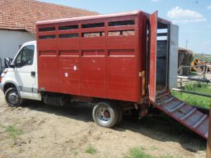 IVECO Daily 2.8 D Transport Animale