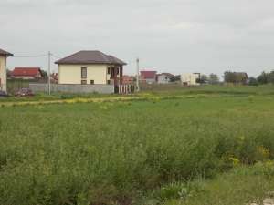 Terenuri intravilane in RATE - Berceni,  Ilfov