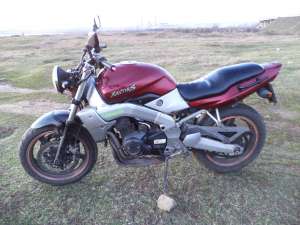 Kawasaki xanthus,  1992