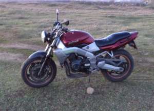 Kawasaki xanthus,  1992