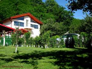 CAZARE  VILA  WEEKEND PENSIUNI  AGROTURISM  MUNTE