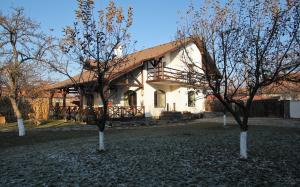 Pensiunea Casa Mosului****