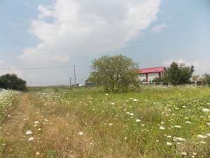 Lot de casa gaz+curent,  Berceni intrare