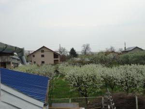 Vand casa Ograzeni