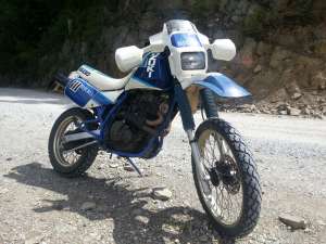 Suzuki DR 600