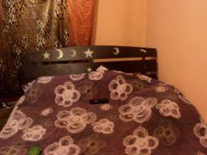 inchiriez 2 camere la curte URGENT