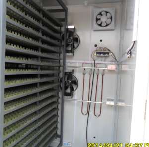 Incubator 10000 oua