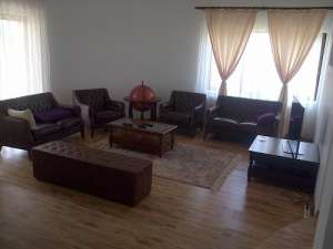 Vila superba in comuna berceni,  1000 MP teren