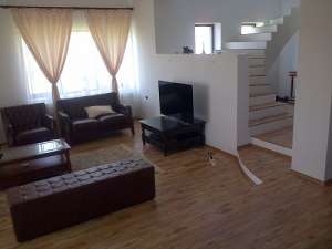 Vila superba in comuna berceni,  1000 MP teren