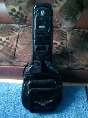 Chitara electrica Ibanez RG 370DX