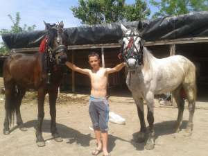 SURUL LUI PUNGA IULIAN