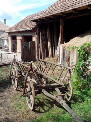 Căruţă ţărănească veche  (car de boi)