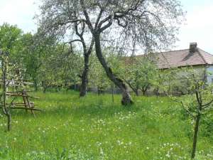 teren Campulung Muscel