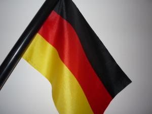 Hausmeister execut reparatii diverse